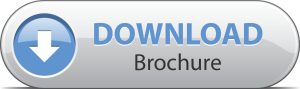 professional-brochure